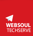 Websoul Techserve Logo